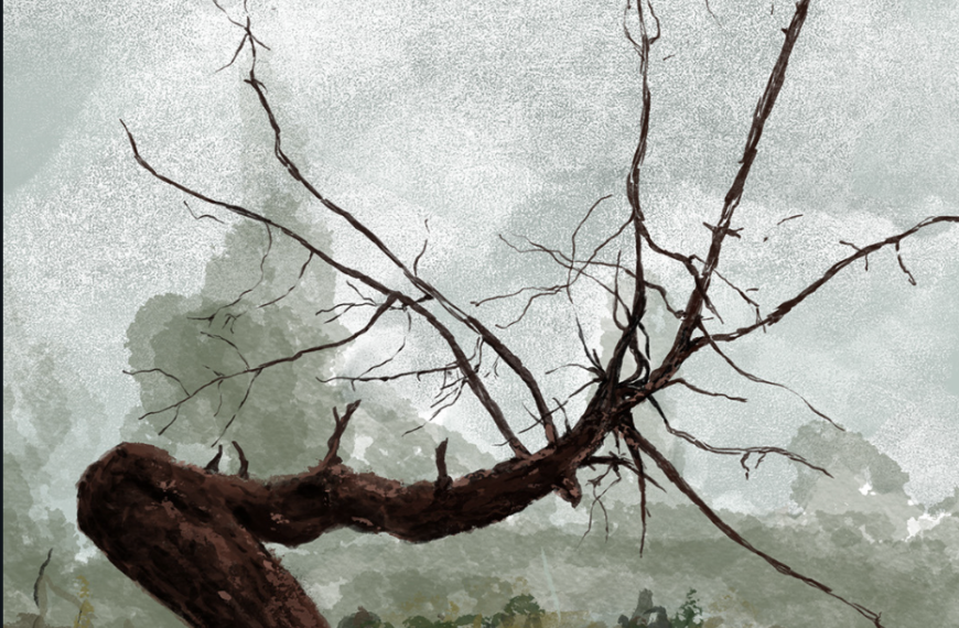 The Secret of the Old Oak Tree