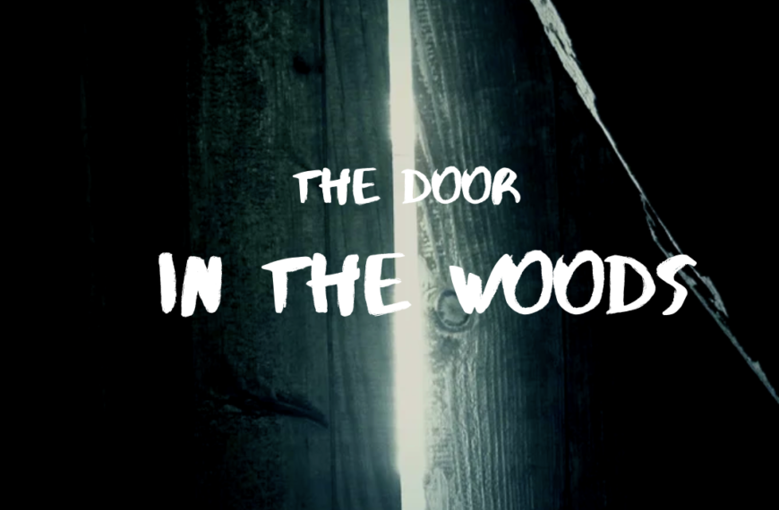 The Door in the Woods